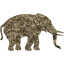 elephant 5