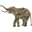 elephant 6