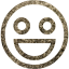 emoticon 53