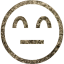 emoticon 7