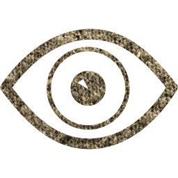 eye 4 icon