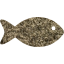 fish 8