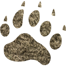 footprints bear icon