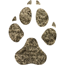 footprints dog icon