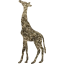 giraffe 2