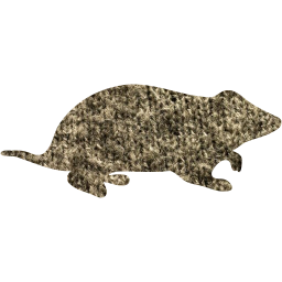 hamster icon