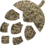 hops
