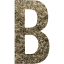 letter b