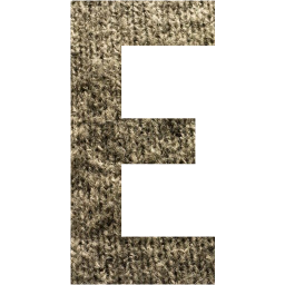 letter e icon