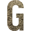 letter g