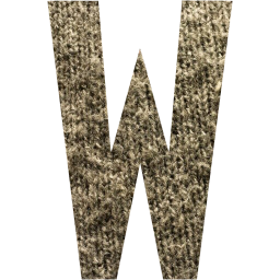 letter w icon