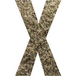 letter x icon
