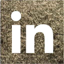 linkedin 2 icon