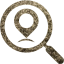 local seo