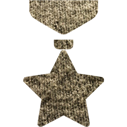 medal icon