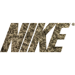 nike 2 icon