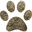 paw