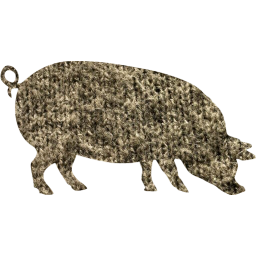 pig 4 icon