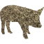 pig 8