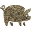 pig