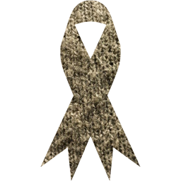 ribbon icon