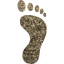 right footprint