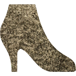 shoe woman icon
