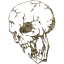 skull 16