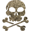 skull 22