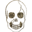 skull 37