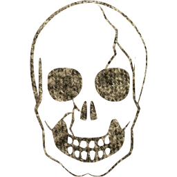 skull 37 icon