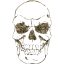 skull 41