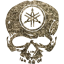 skull 49