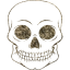 skull 55