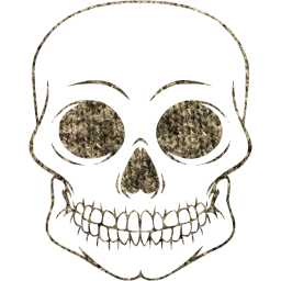 skull 55 icon