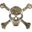 skull 68