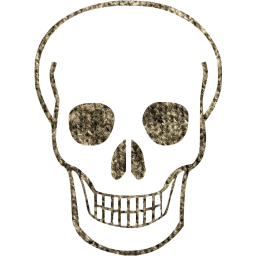 skull 71 icon