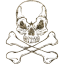 skull 72