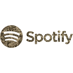 spotify 2 icon