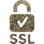 ssl badge 2