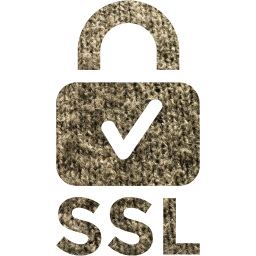 ssl badge 2 icon