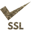 ssl badge 3