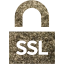 ssl badge 4