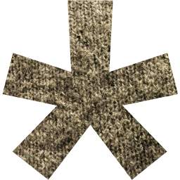 star 14 icon