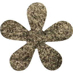 star 19 icon