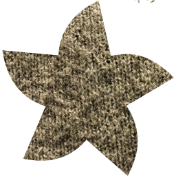 star 21 icon