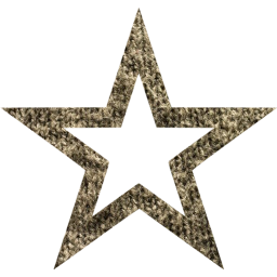 star 4 icon