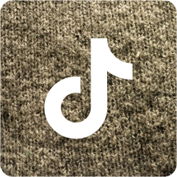 tiktok 2 icon