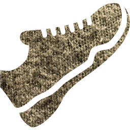 trainers icon