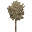 tree 12